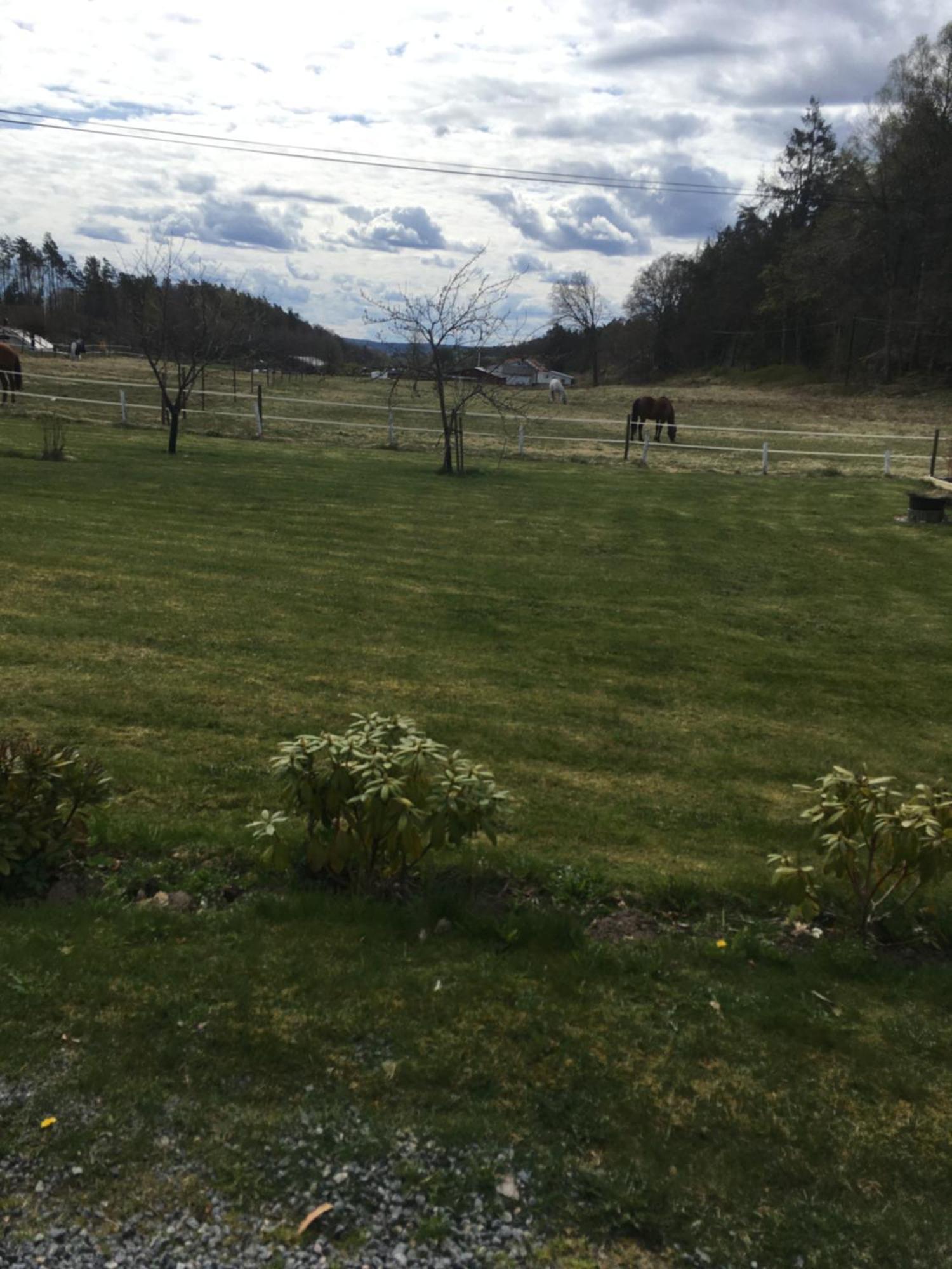 AirbnbEkåsberg Olofstorp Exterior foto