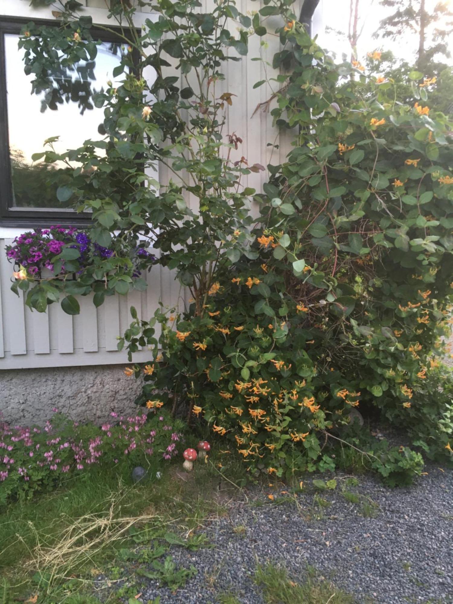 AirbnbEkåsberg Olofstorp Exterior foto