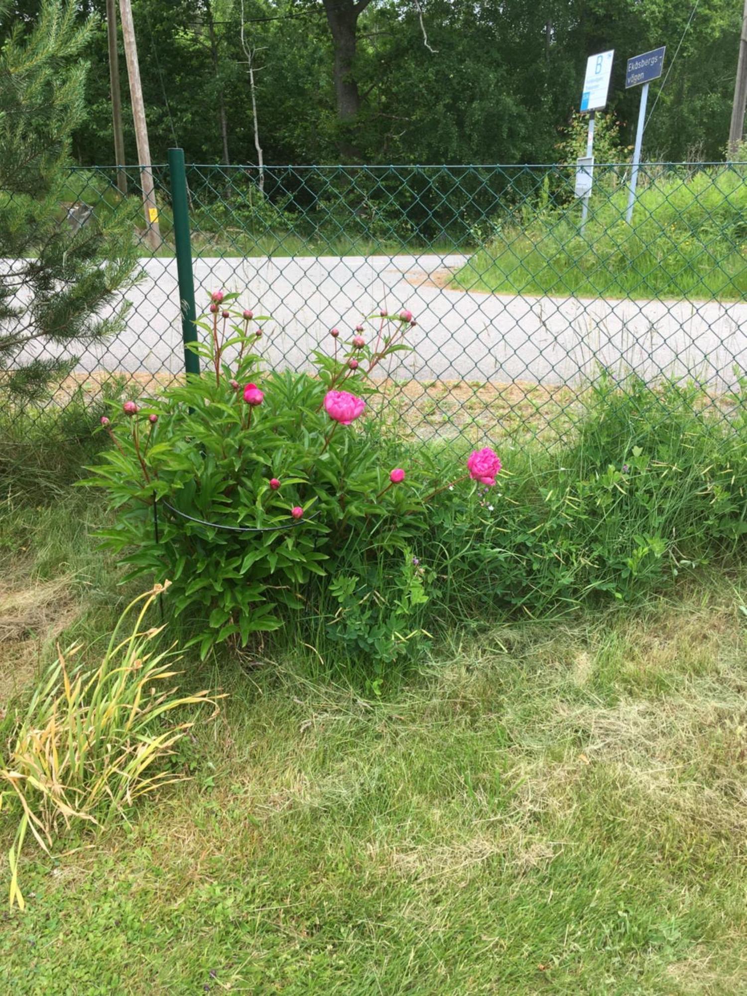 AirbnbEkåsberg Olofstorp Exterior foto