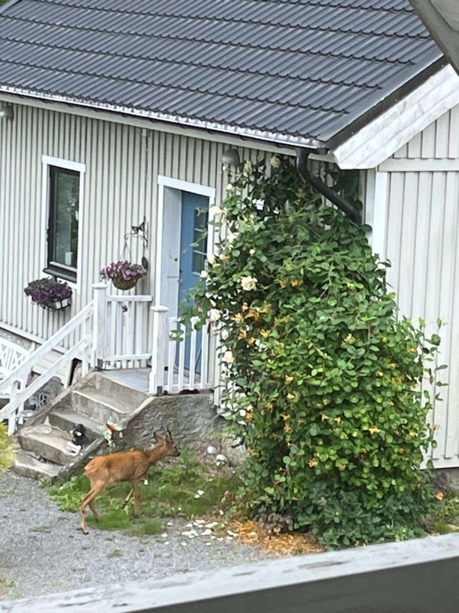 AirbnbEkåsberg Olofstorp Exterior foto